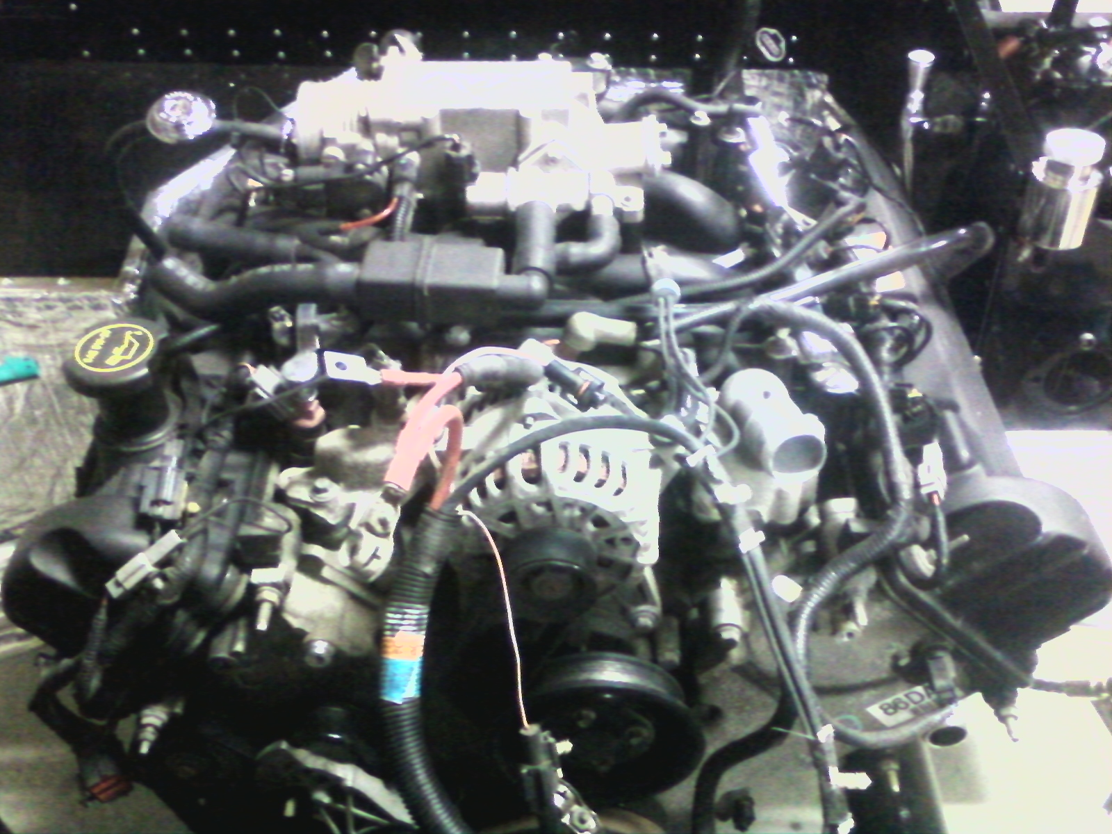 Engine back in the frame
