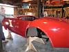 Cobra body