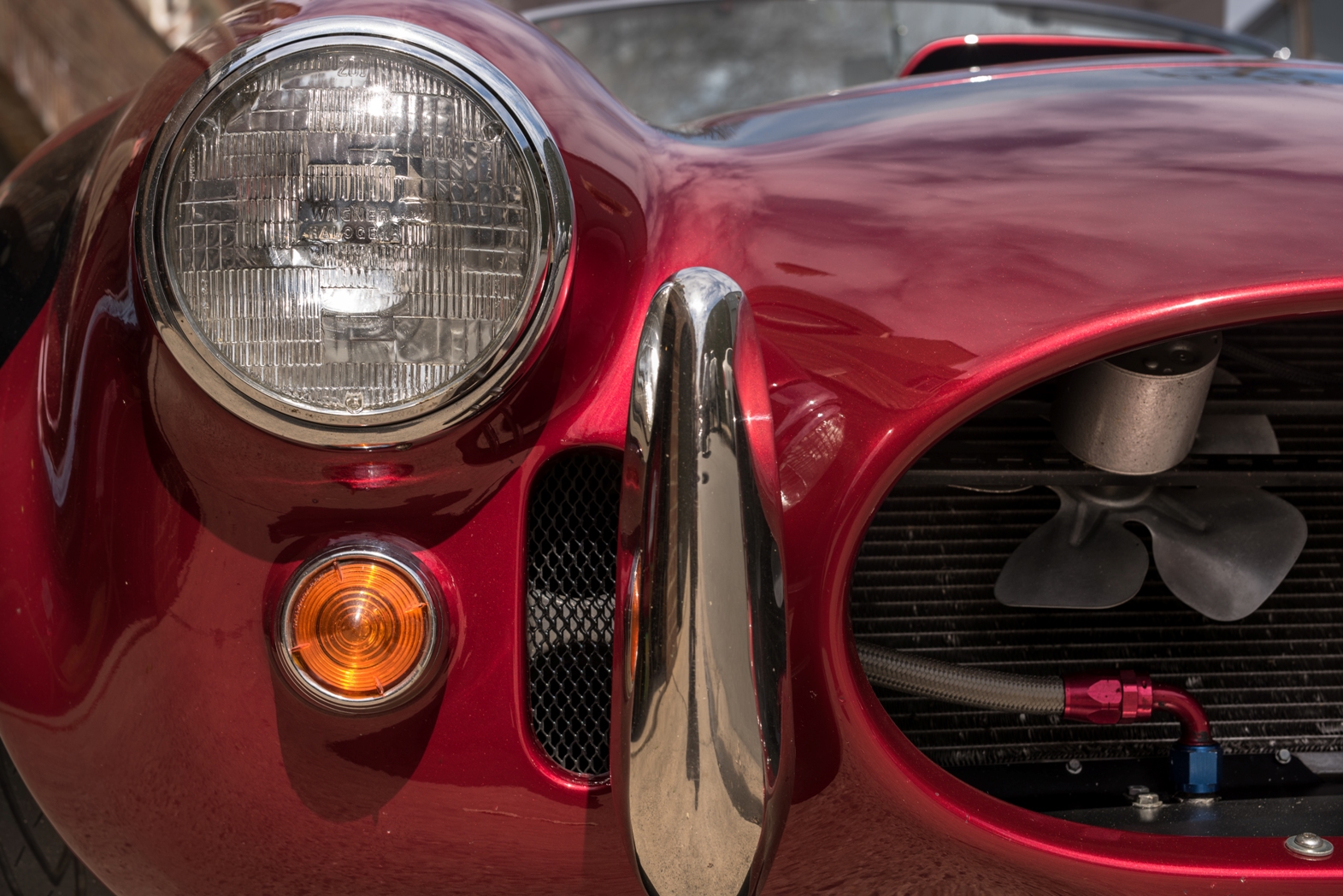 DSC 5818s