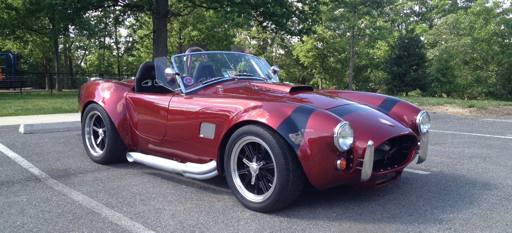 My Cobra 1