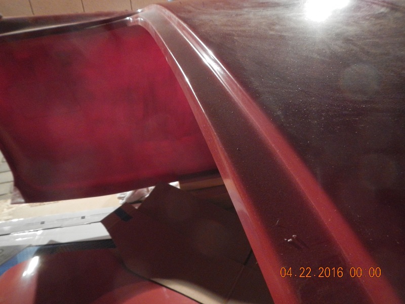 DSCN0856 w