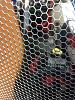 IMG 6340