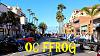 OC FFROG