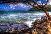 Hawaii Beach