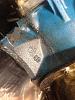 IMG 6868