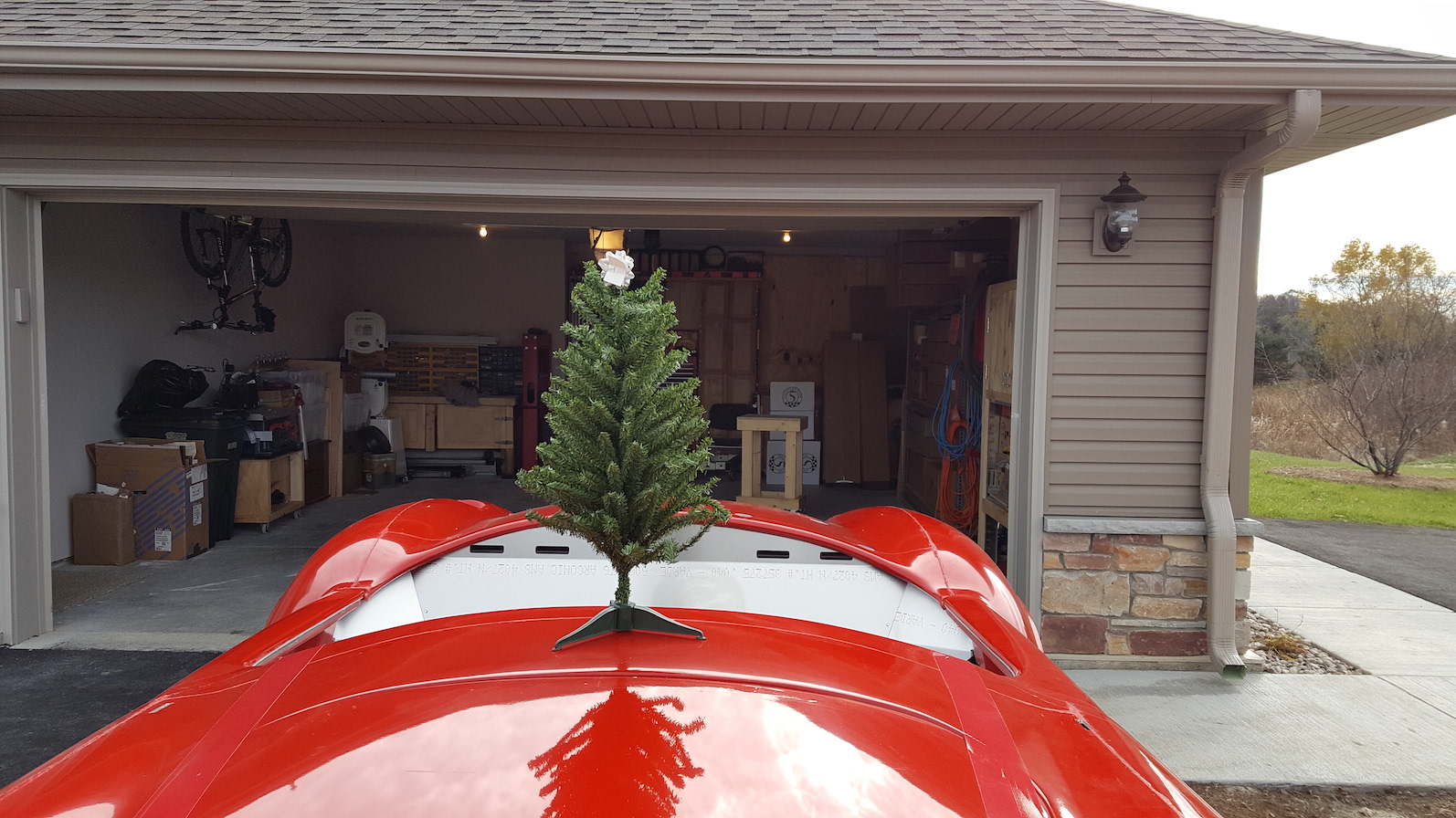 UnderXMasTree