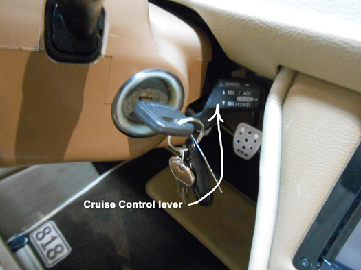 Cruise Control lever