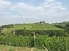 IMG 3121