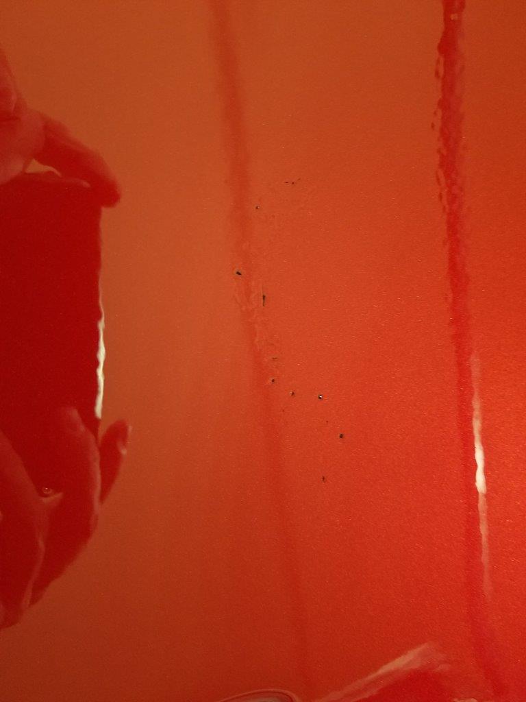 bug paint