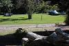 IMG 6266