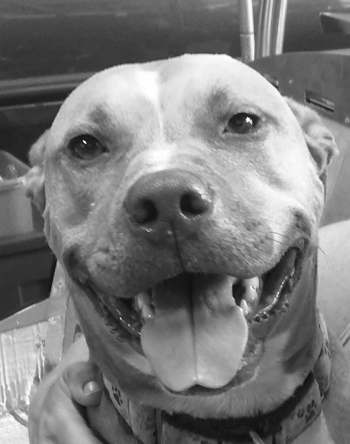 trinket b&w