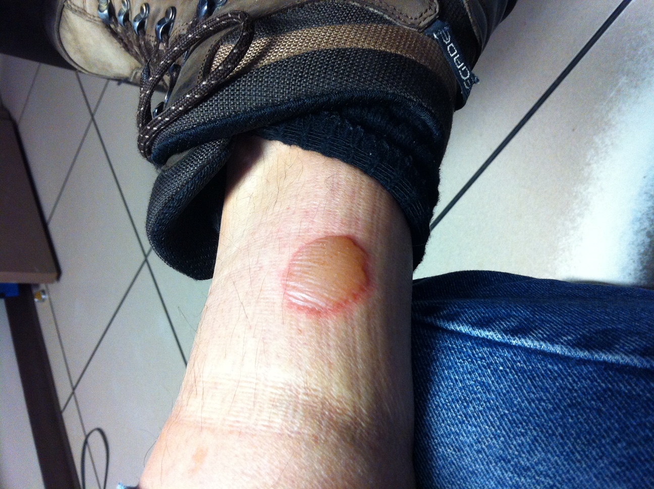 IMG 0257