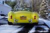 winter cobra rear small
