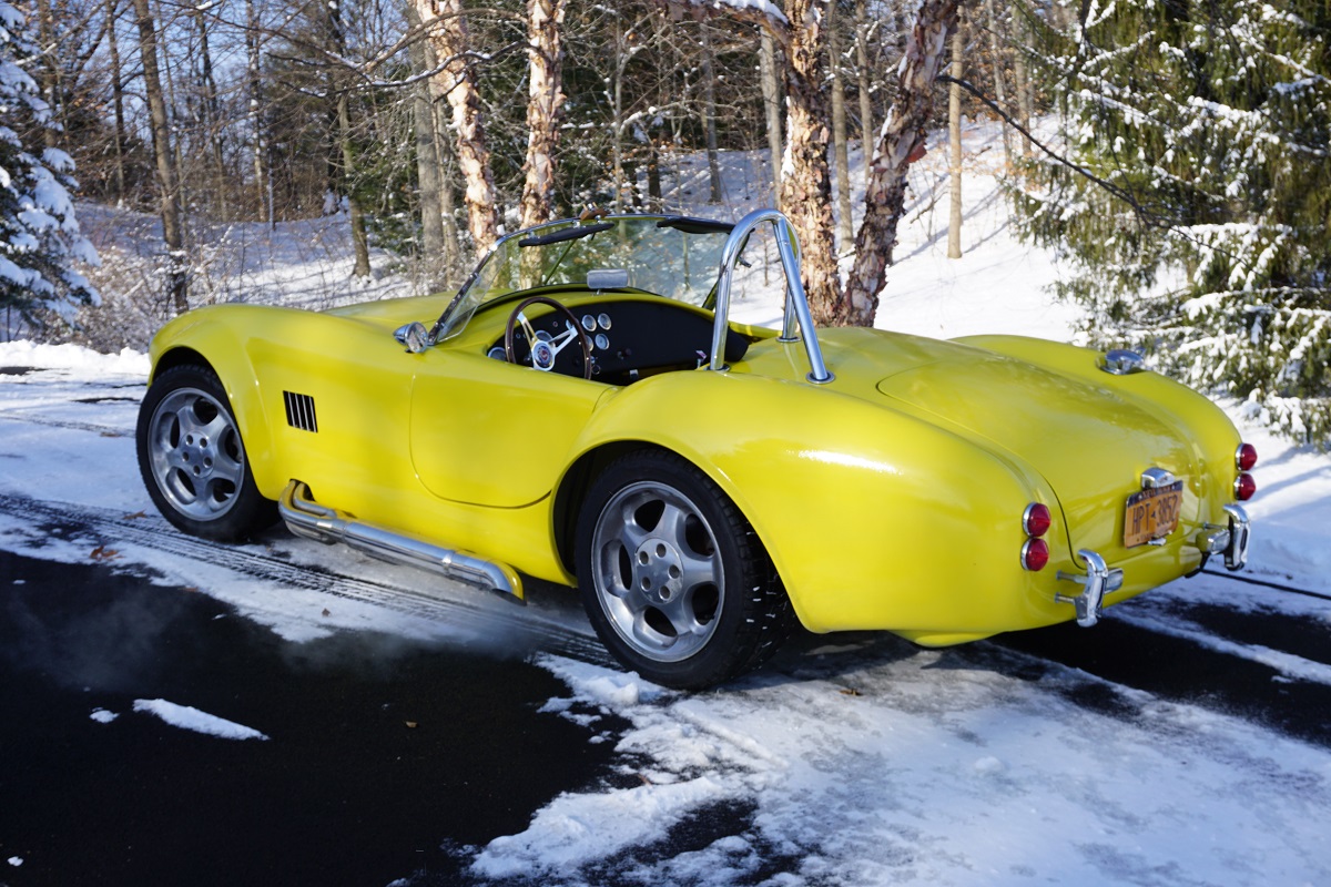 winter cobra side small