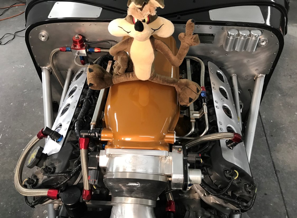 Wile E Coyote PCV hoses