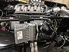 IMG 4967