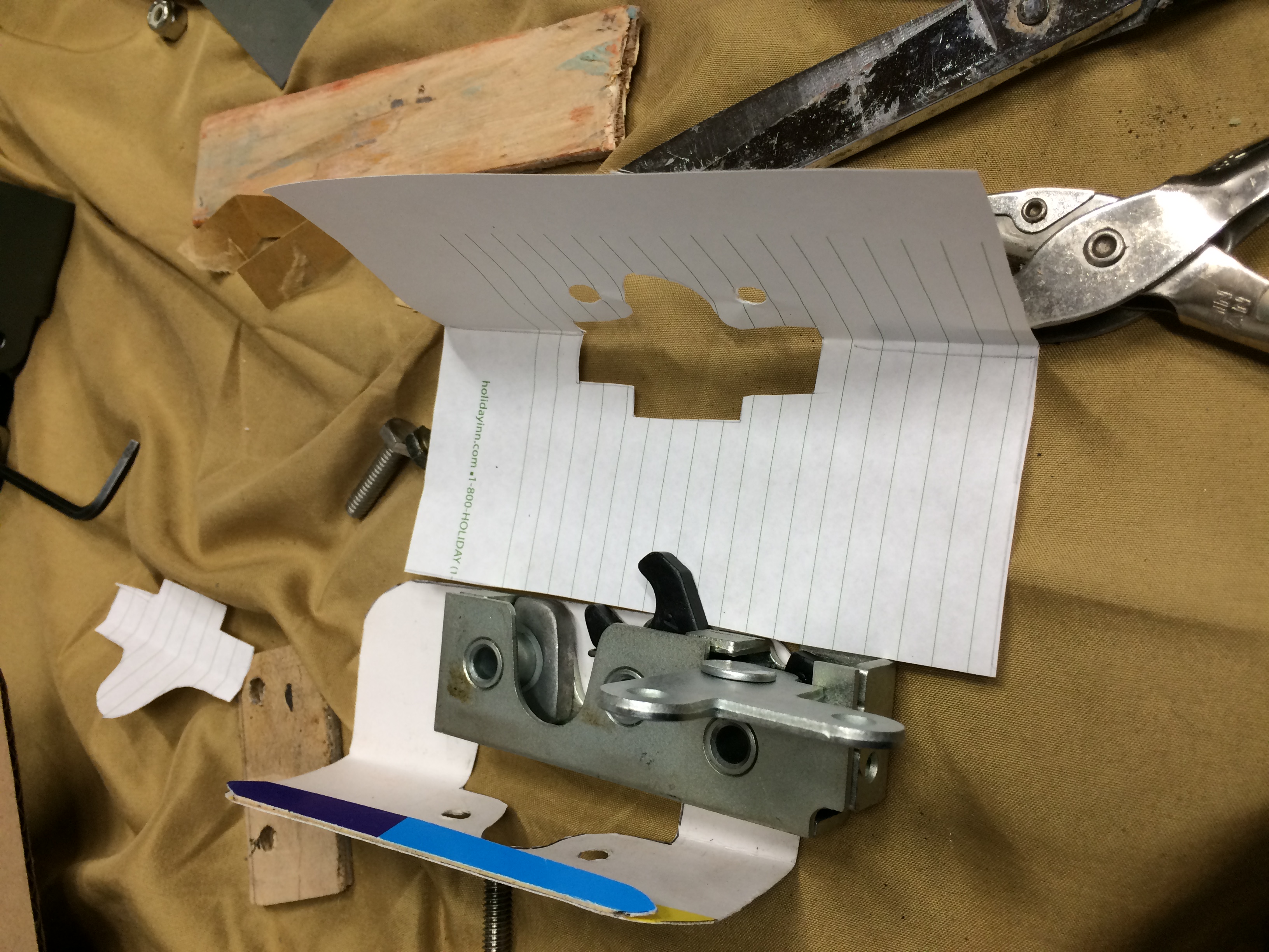 bear claw workup