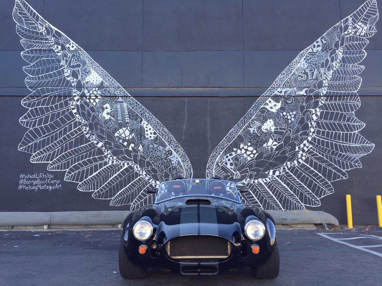 Cobra in VeniceWings