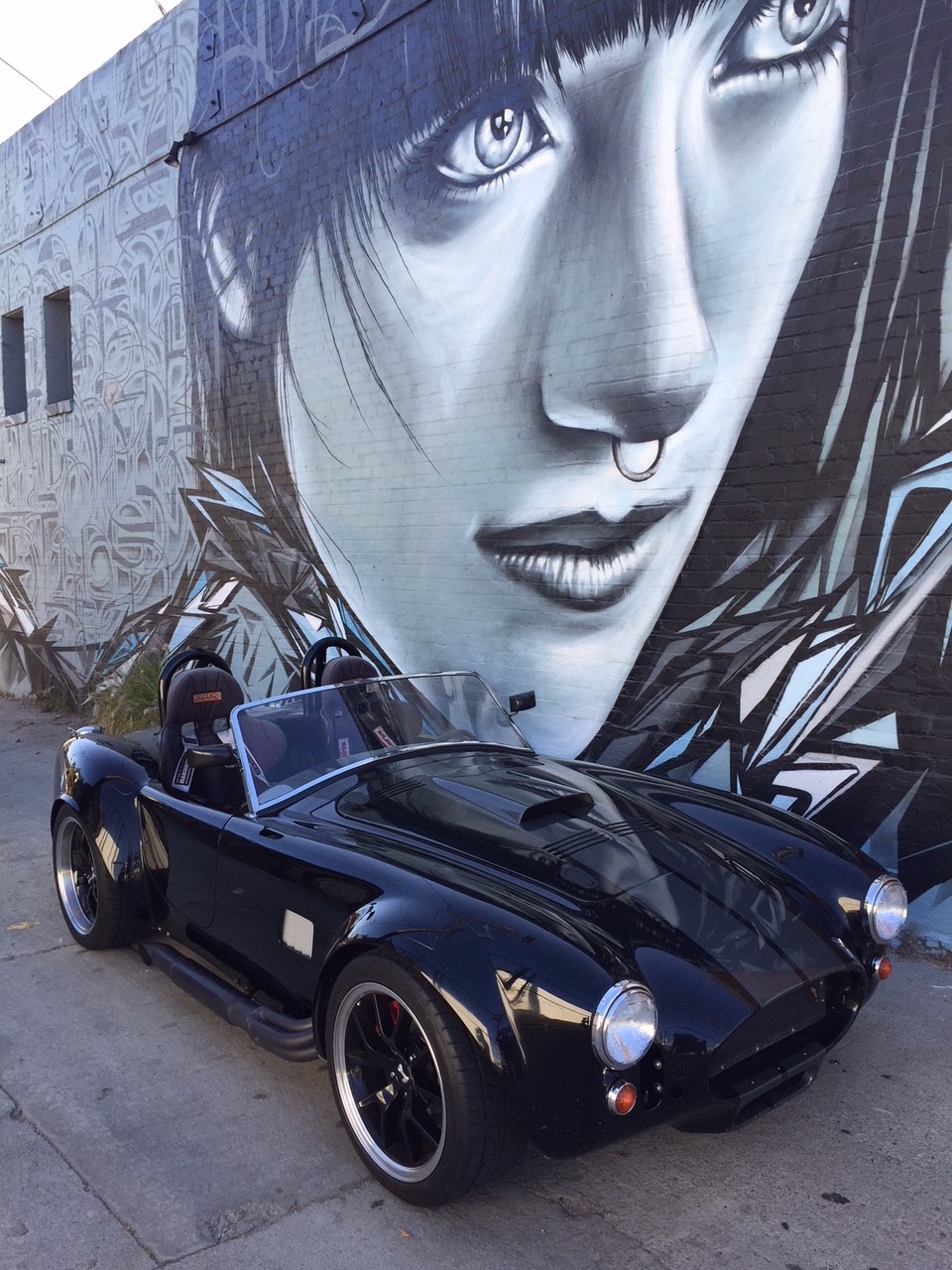 Cobra in Venice