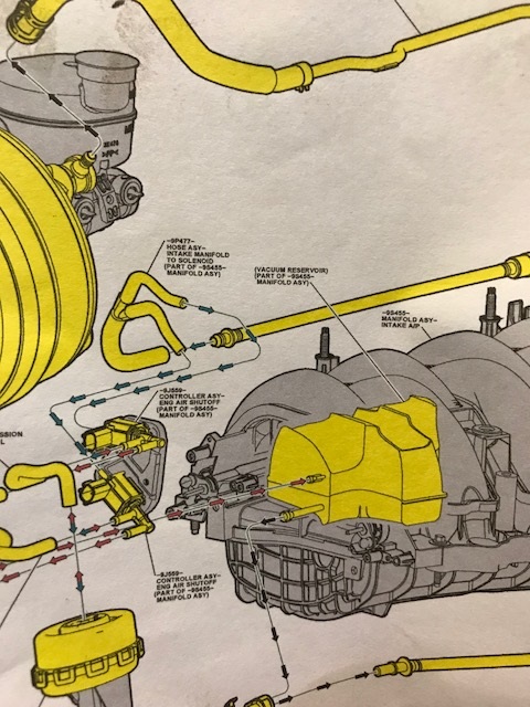 CMCV lines