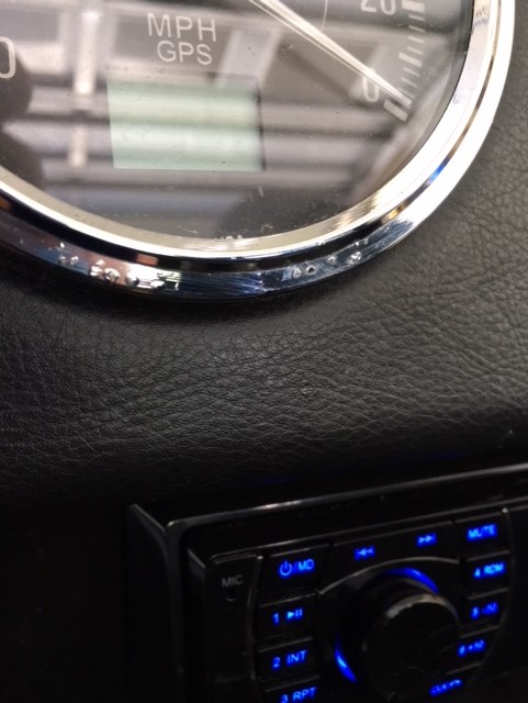 Speedo Bexel   Pealing