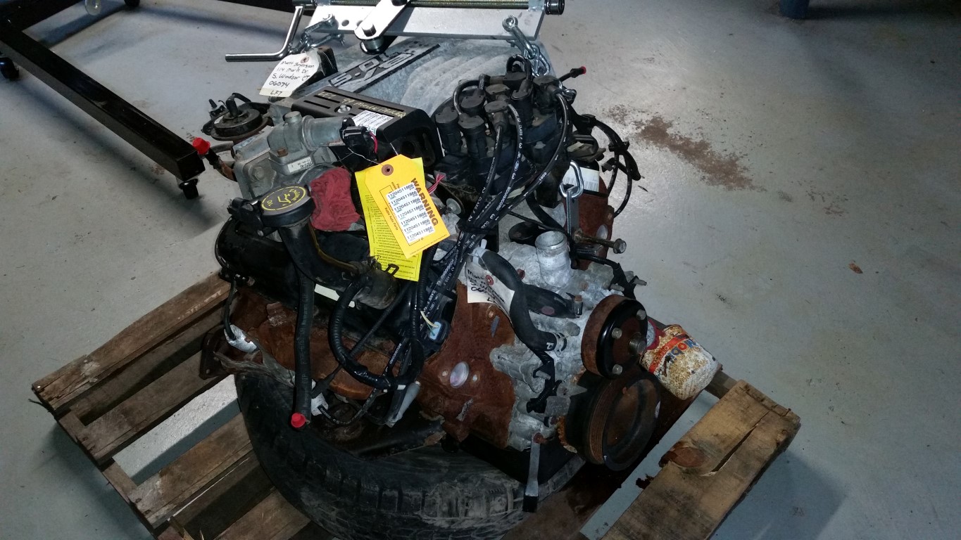 20161021 140636   Copy (Medium)