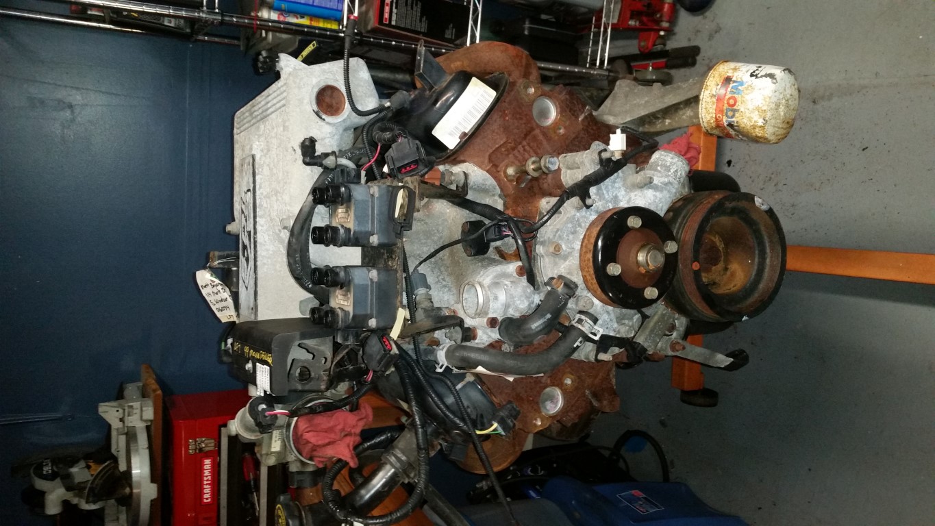 20161028 130610   Copy (Medium)