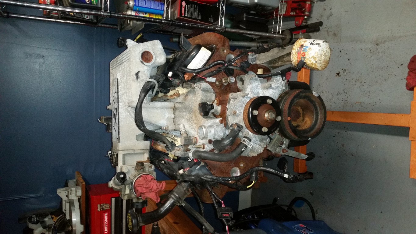 20161028 132628   Copy (Medium)