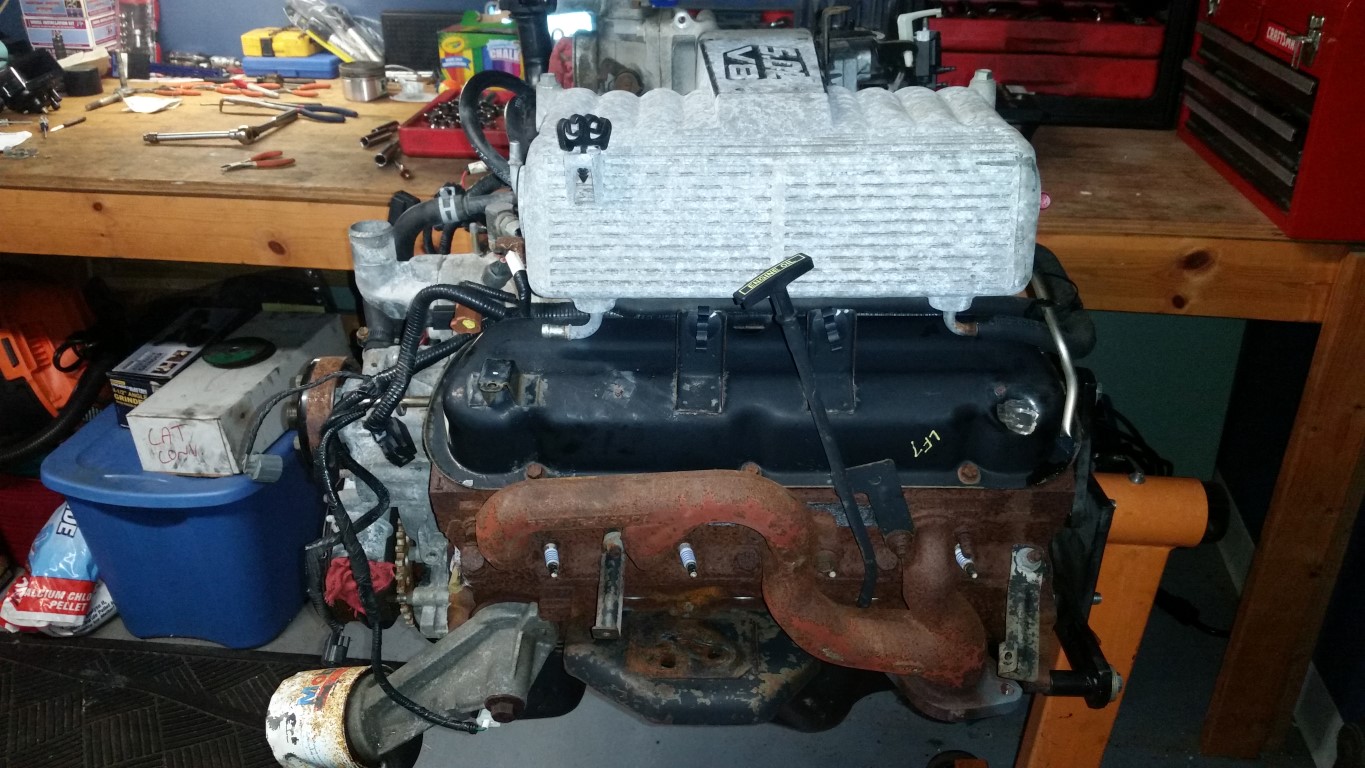 20161028 132639   Copy (Medium)