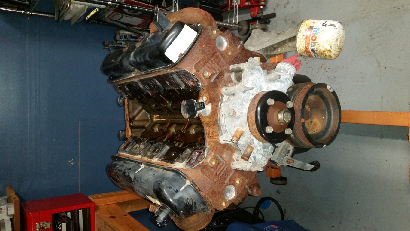 20161028 140338   Copy (Medium)