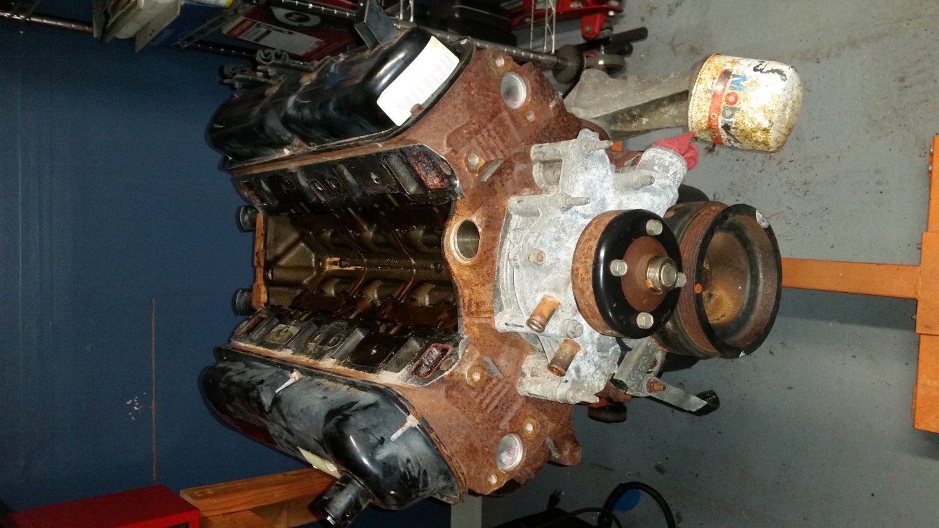 20161028 142726   Copy (Medium)