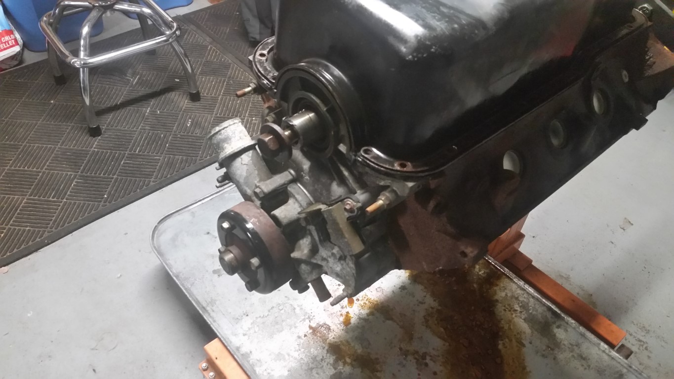 20161113 163332   Copy (Medium)