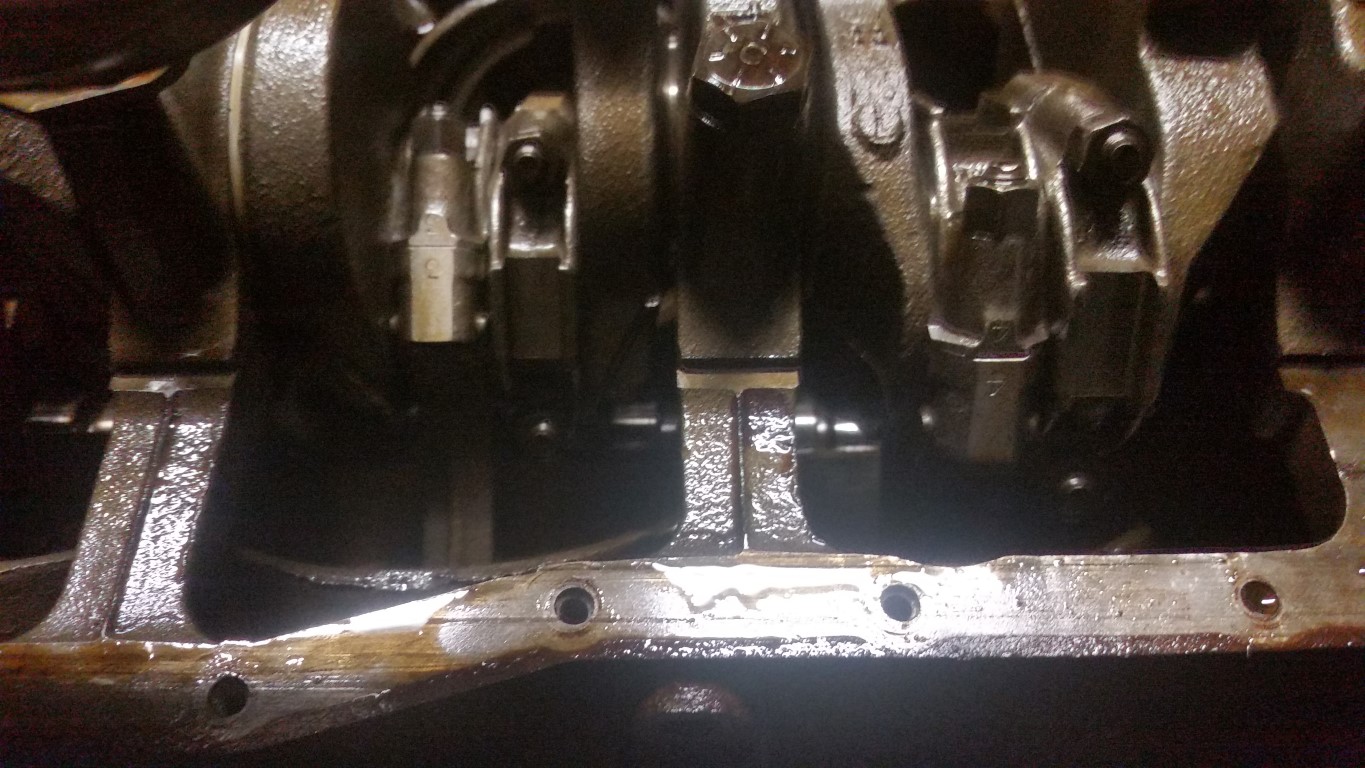 20161113 164731   Copy (Medium)