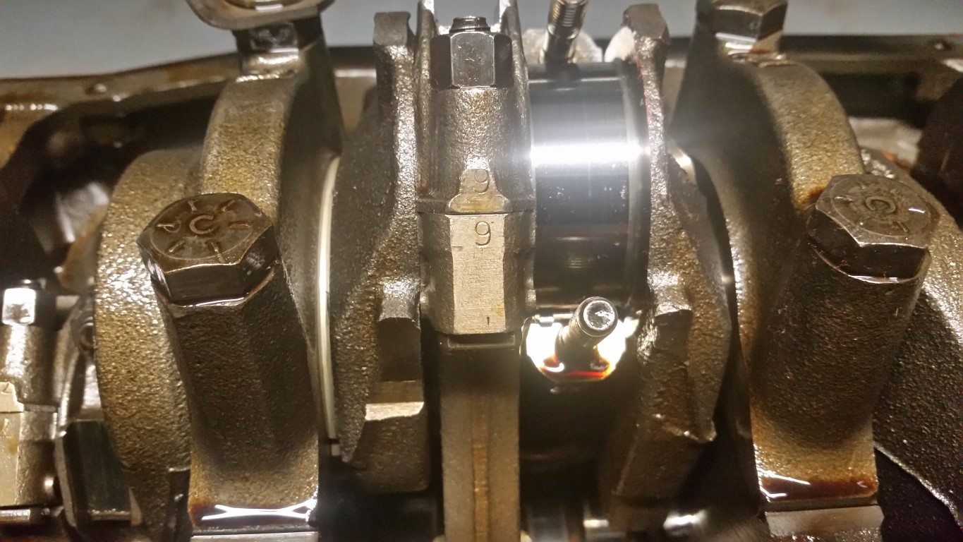 20161113 164744   Copy (Medium)