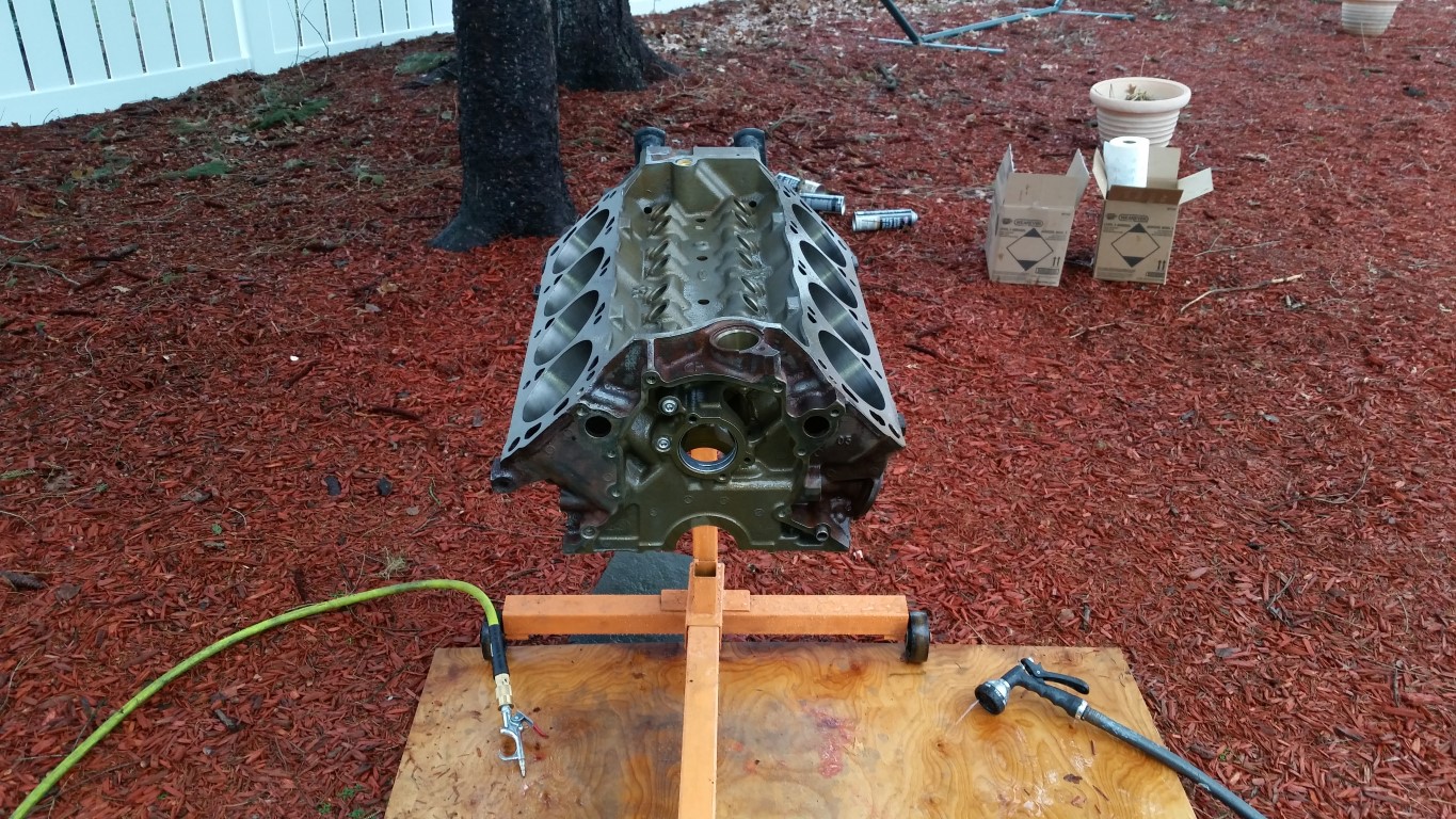 20170104 144917   Copy (Medium)
