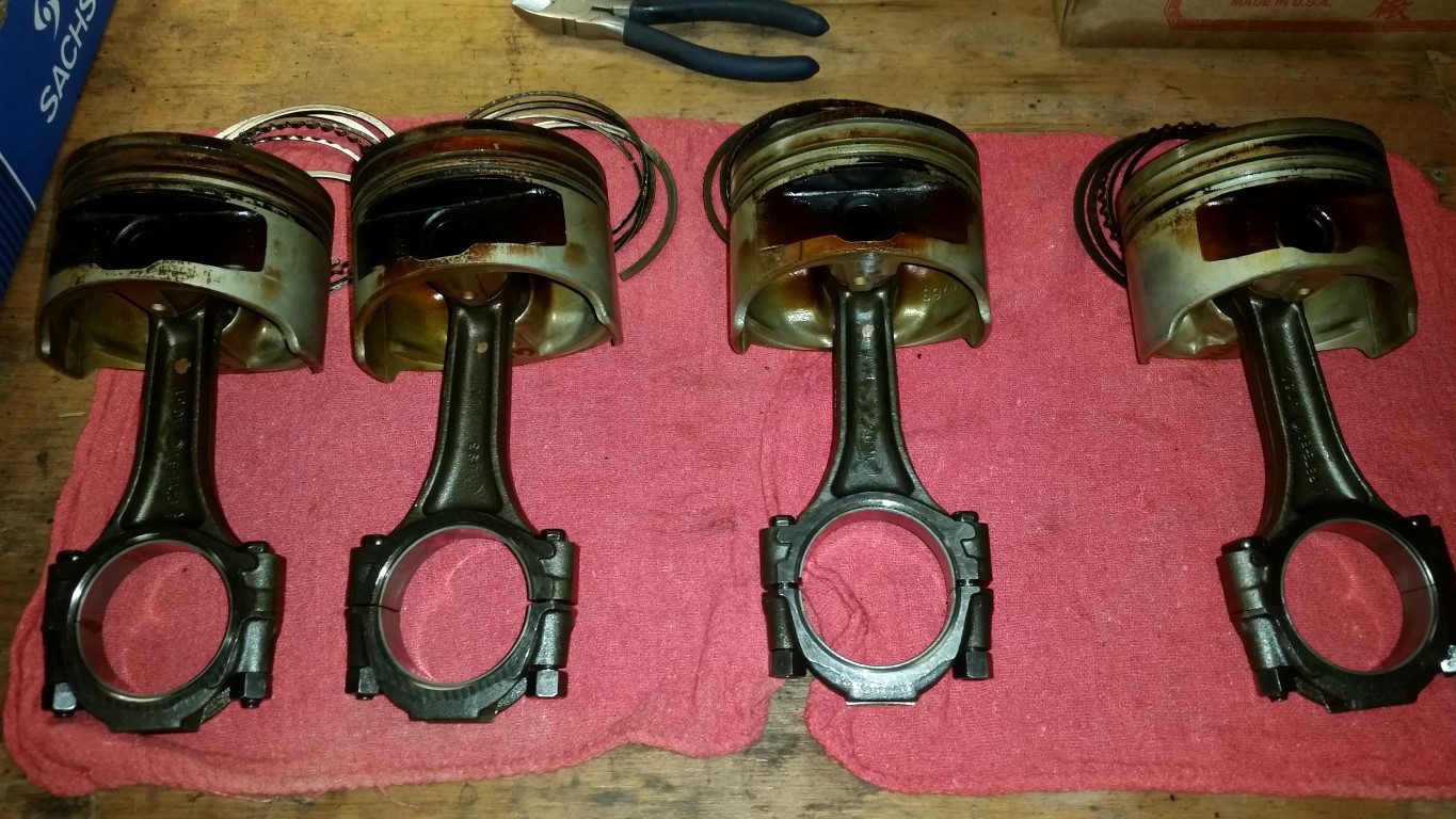 20170115 175928   Copy (Medium)