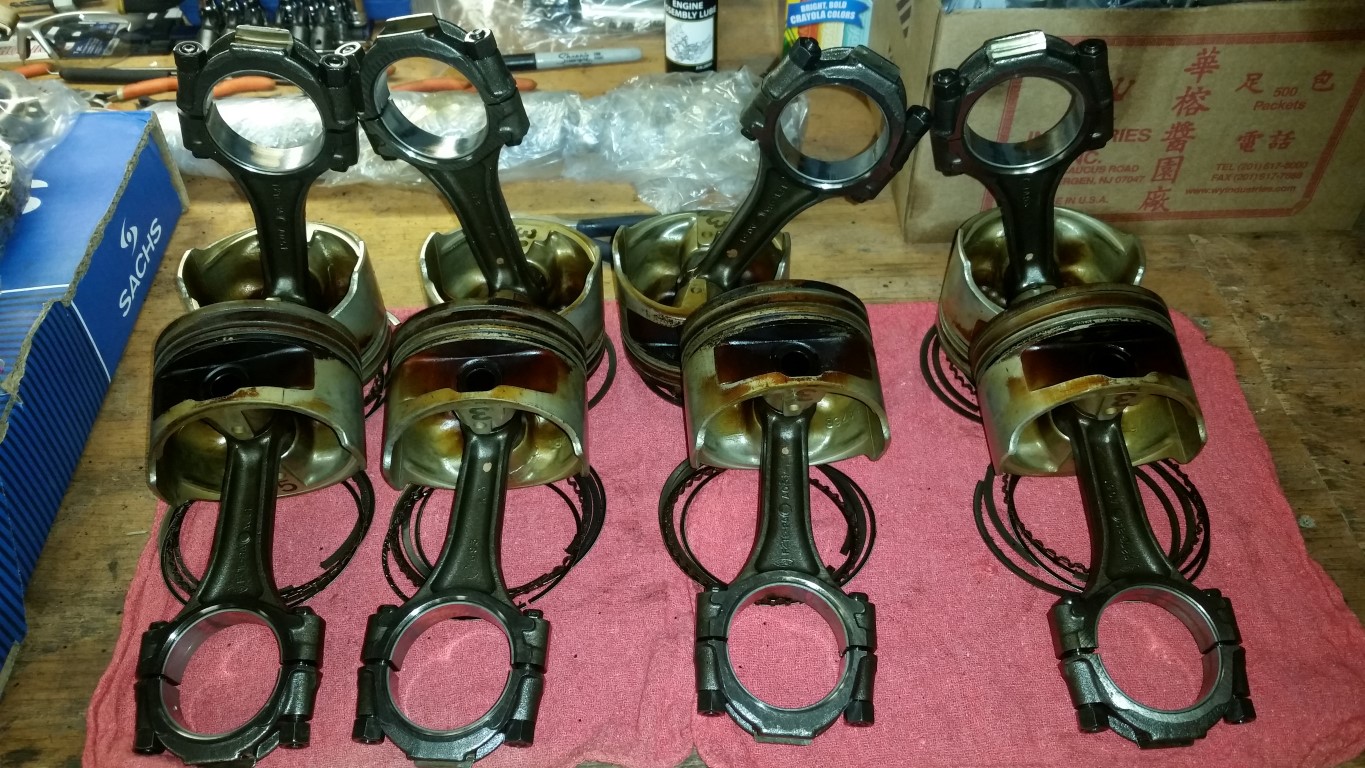 20170115 180817   Copy (Medium)