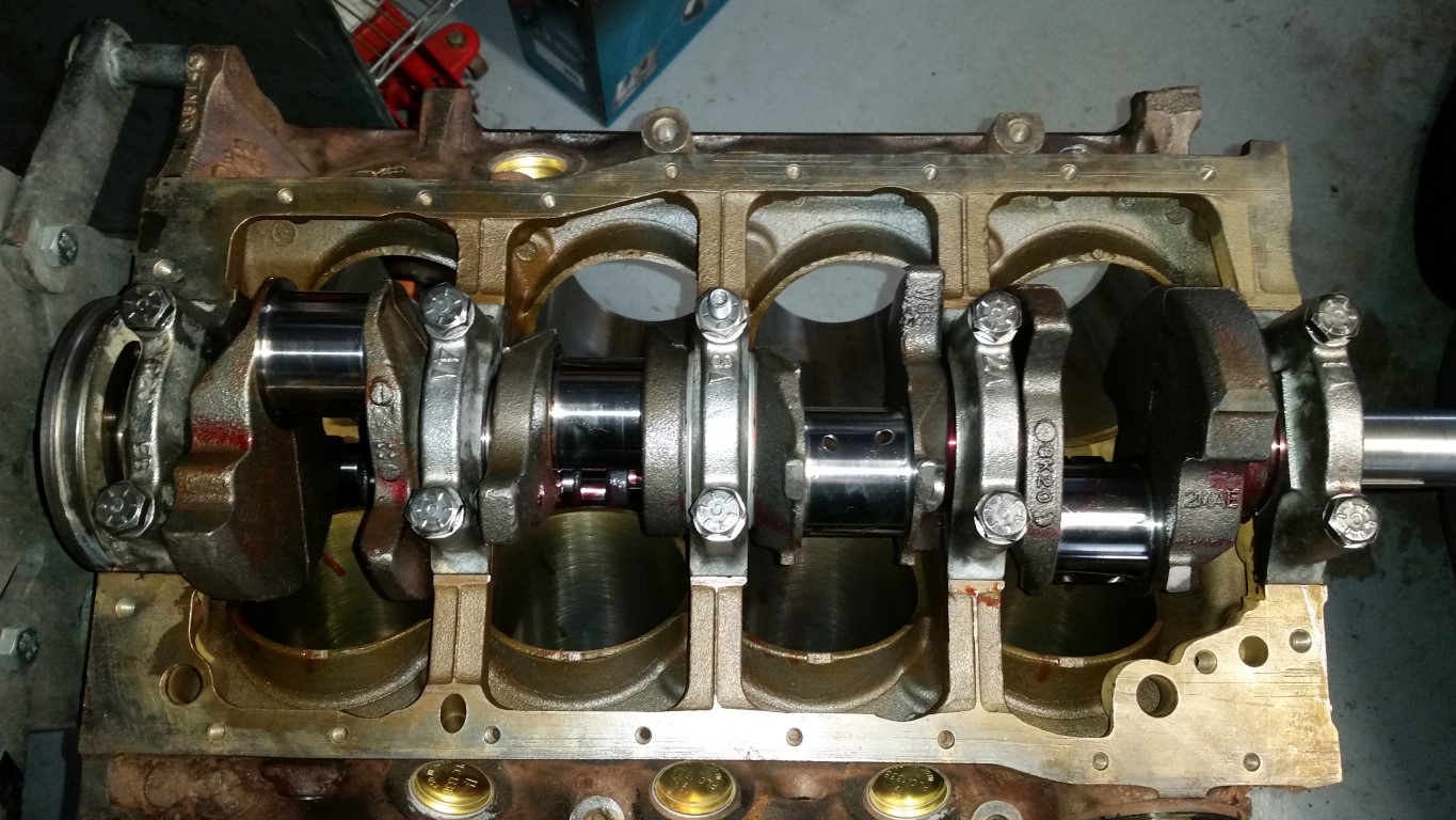 20170213 141949   Copy (Medium)