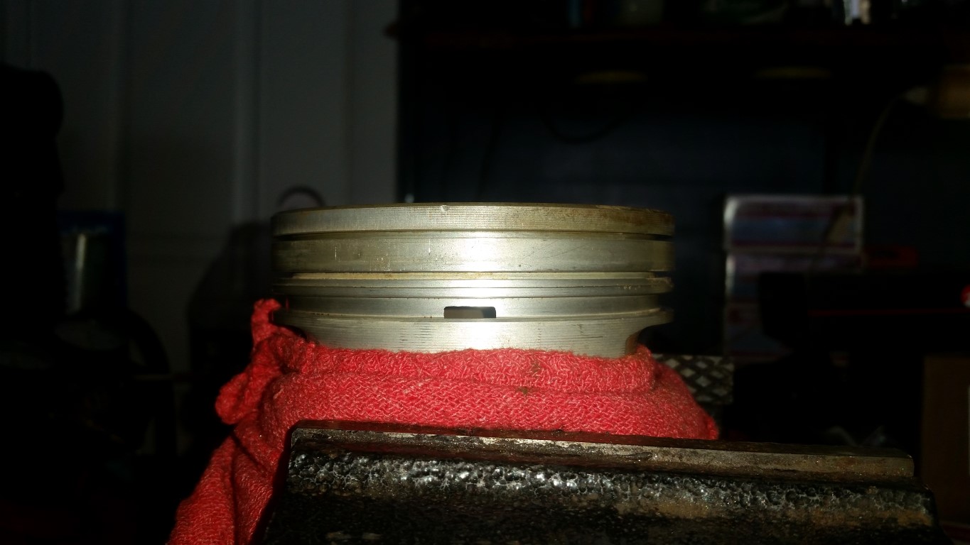 20170225 142624   Copy (Medium)