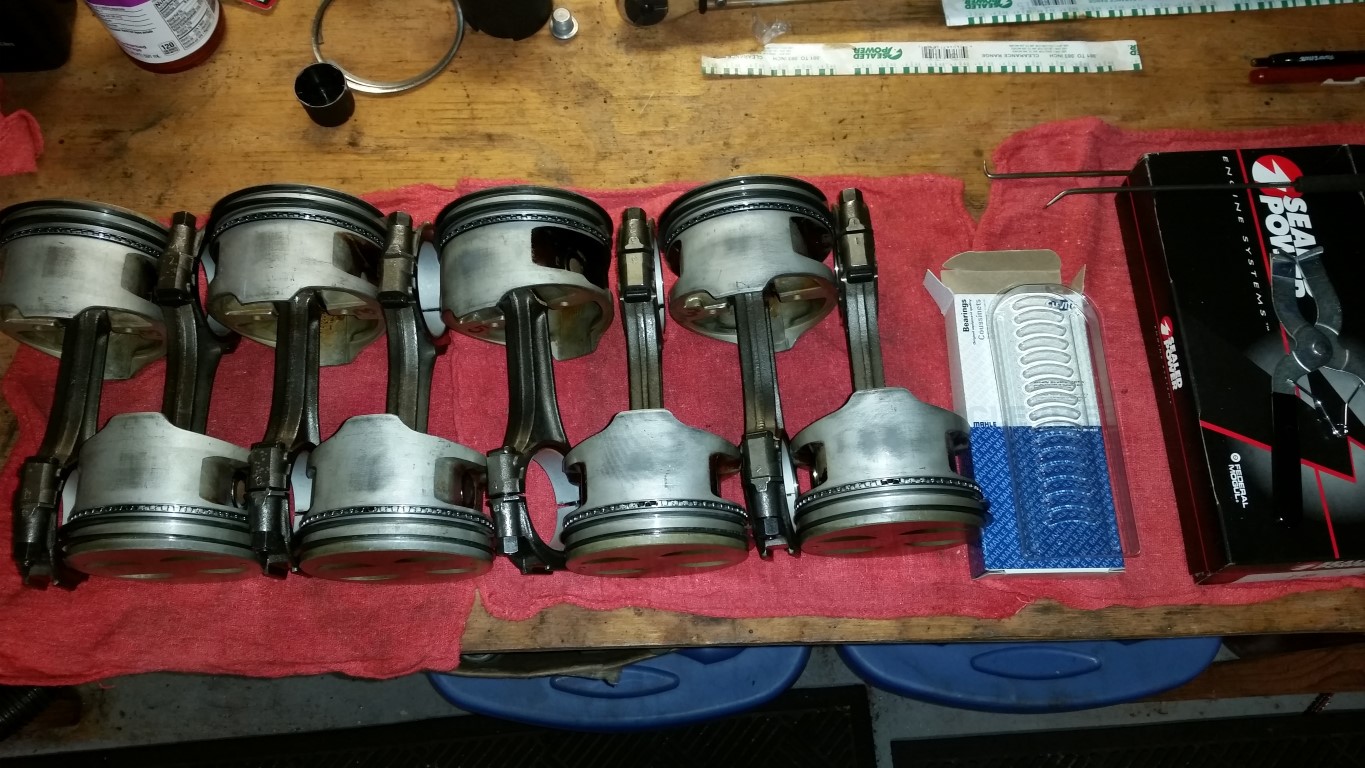 20170307 160610   Copy (Medium)