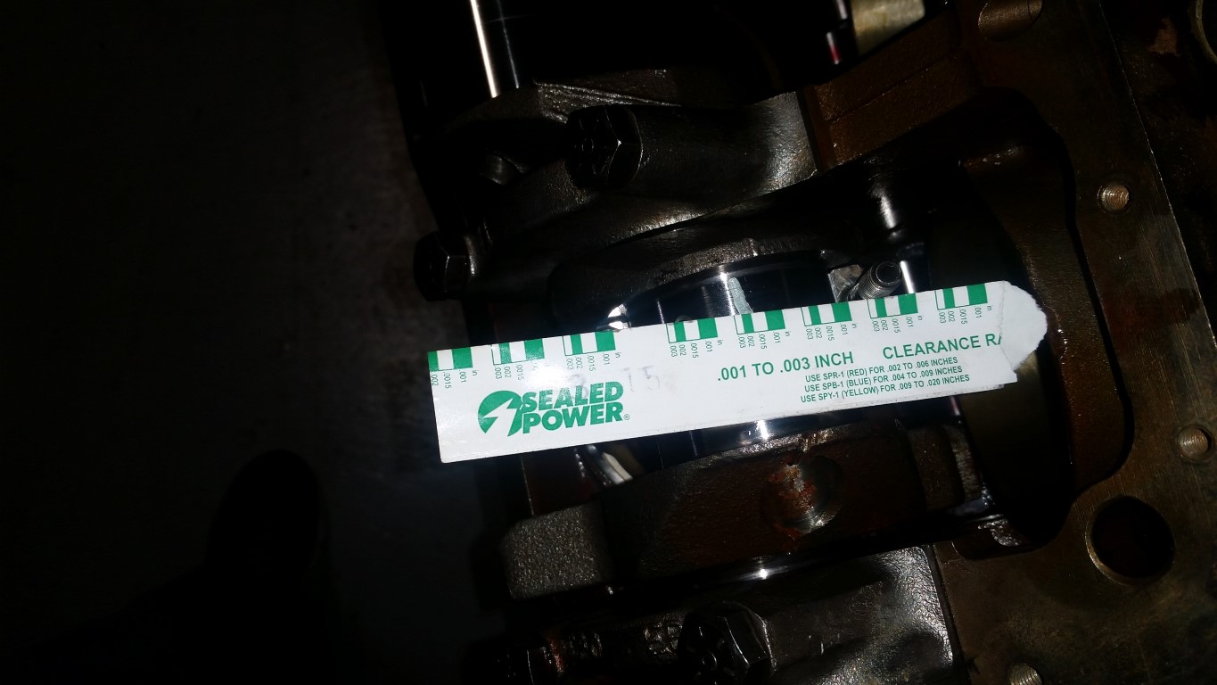 20170309 155421   Copy (Medium)