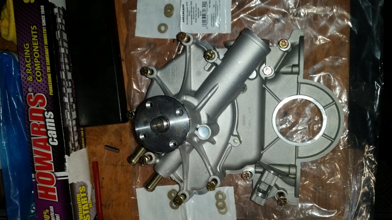 20170320 171133   Copy (Medium)
