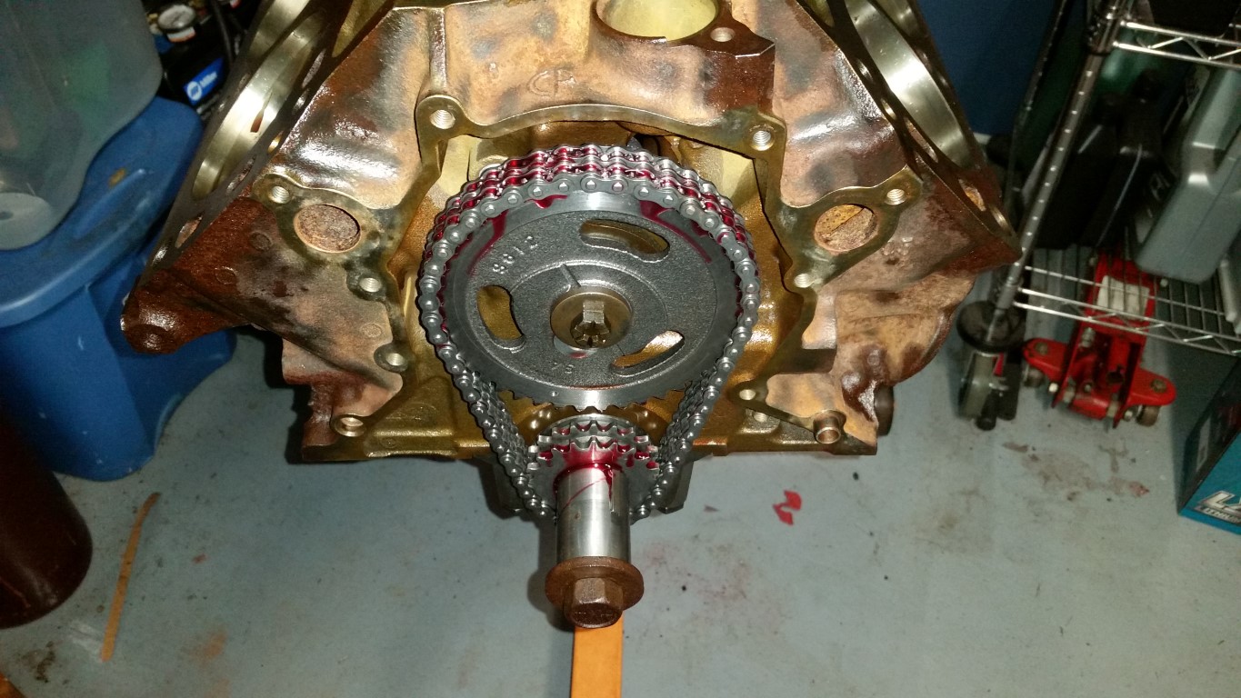 20170325 131847   Copy (Medium)