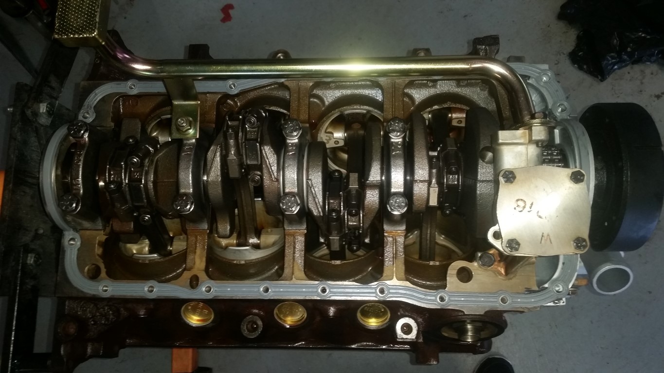 20170329 130838   Copy (Medium)
