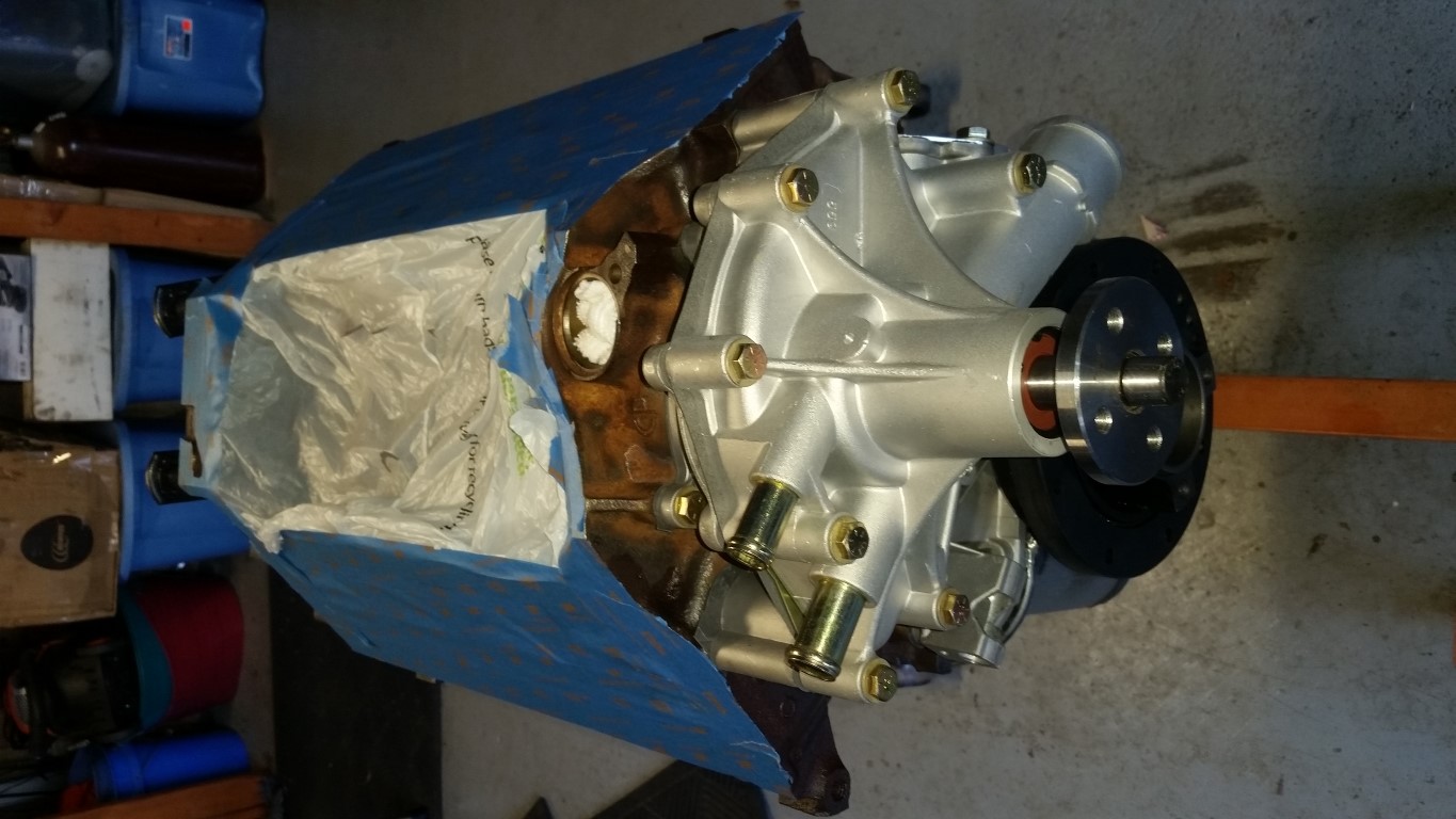 20170402 152929   Copy (Medium)