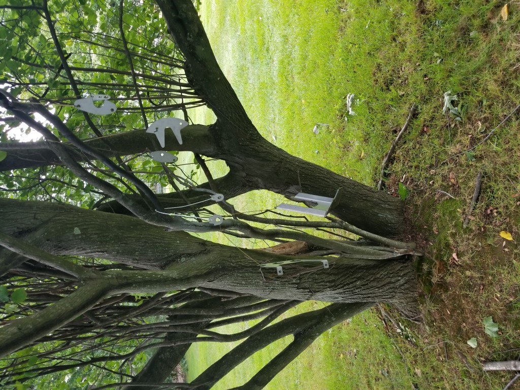 20170804 143449