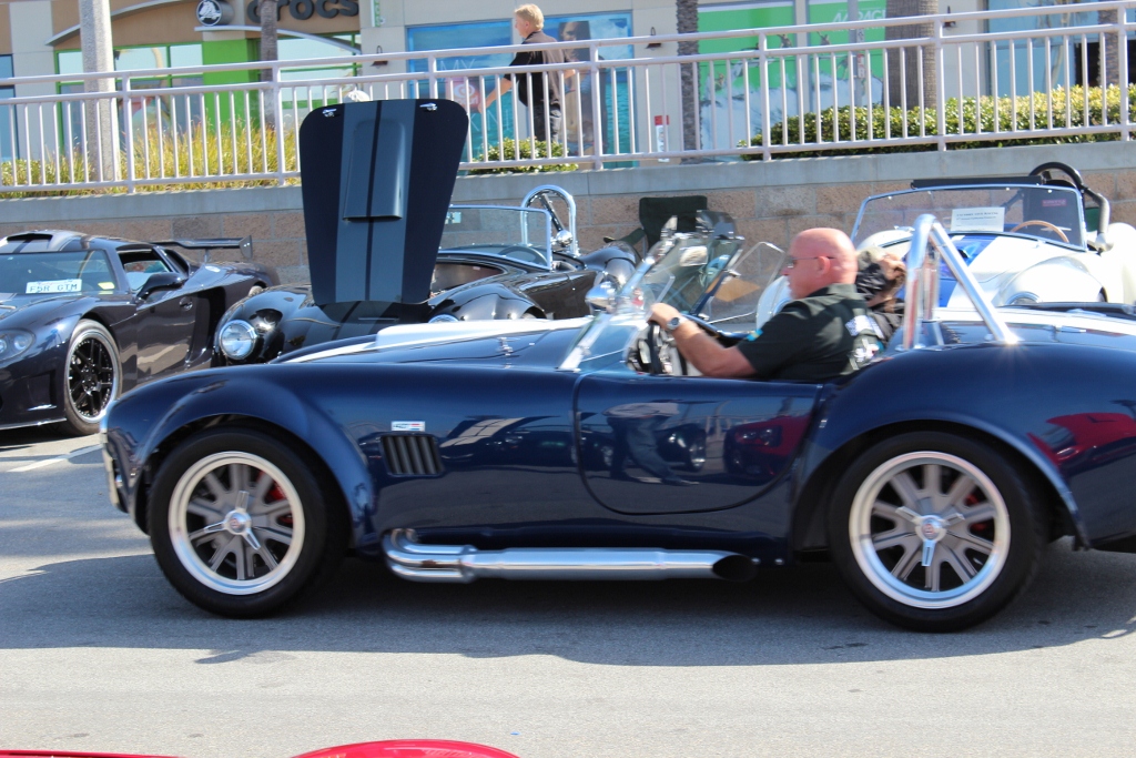 IMG 2398 (1024x683)