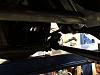 IMG 7157