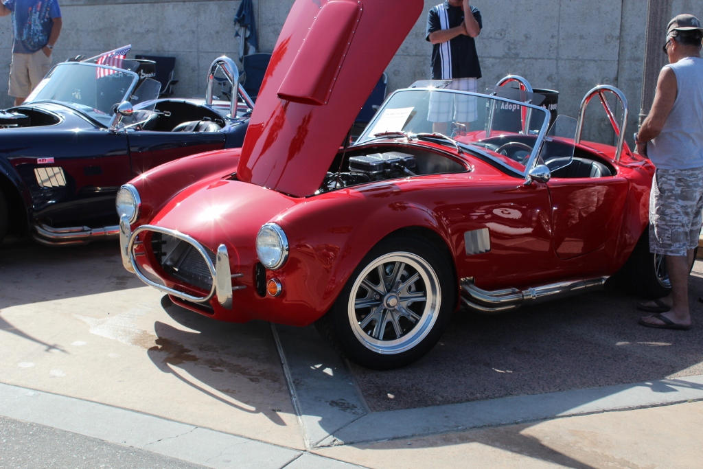 IMG 2427 (1024x683)