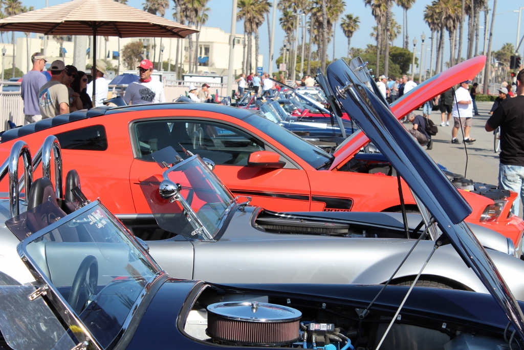 IMG 2429 (1024x683)